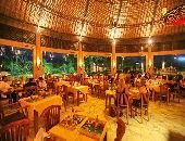 Dinner at Bali Safari